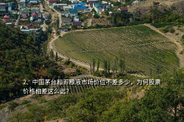 2、中國茅臺和五糧液市場價位不差多少，為何股票價格相差這么遠(yuǎn)？