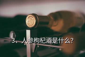 3、人參枸杞酒是什么？