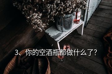 3、你的空酒瓶都做什么了？