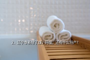 2、遼寧阜新除了煤，瑪瑙，還有什么特產(chǎn)？