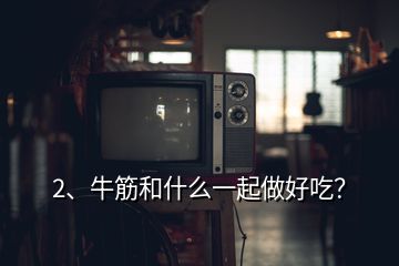 2、牛筋和什么一起做好吃？