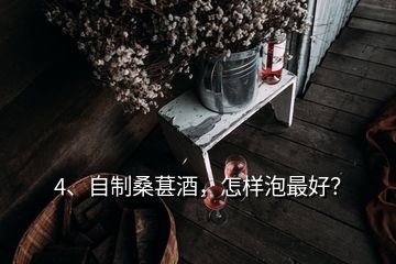 4、自制桑葚酒，怎樣泡最好？