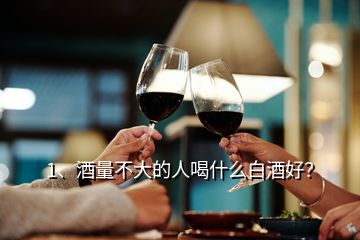 1、酒量不大的人喝什么白酒好？