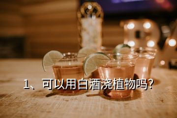 1、可以用白酒澆植物嗎？