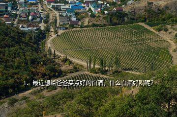 1、最近想給爸爸買點好的白酒，什么白酒好喝呢？