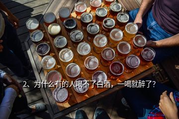 2、為什么有的人喝不了白酒，一喝就醉了？