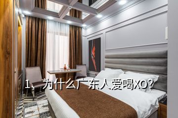 1、為什么廣東人愛(ài)喝XO？