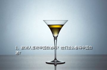 1、歐洲人喜歡中國(guó)白酒嗎？他們?cè)趺纯创袊?guó)白酒？