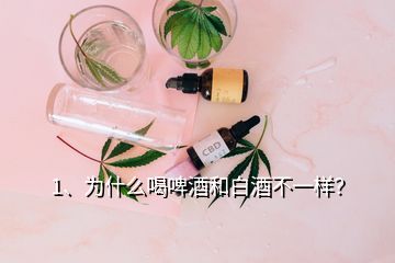 1、為什么喝啤酒和白酒不一樣？