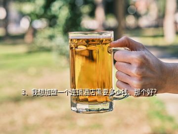 3、我想加盟一個連鎖酒店需要多少錢、那個好？