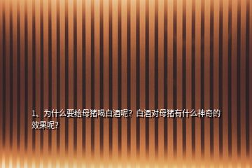 1、為什么要給母豬喝白酒呢？白酒對母豬有什么神奇的效果呢？