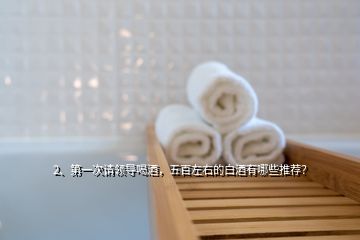 2、第一次請領導喝酒，五百左右的白酒有哪些推薦？