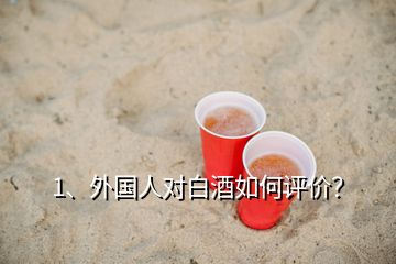 1、外國人對白酒如何評價？