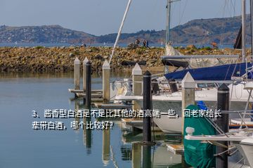 3、醬香型白酒是不是比其他的酒高端一些，回老家給長輩帶白酒，哪個比較好？