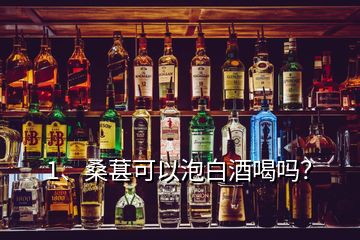 1、桑葚可以泡白酒喝嗎？