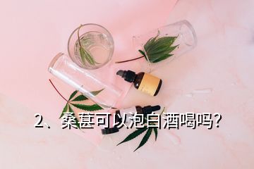 2、桑葚可以泡白酒喝嗎？