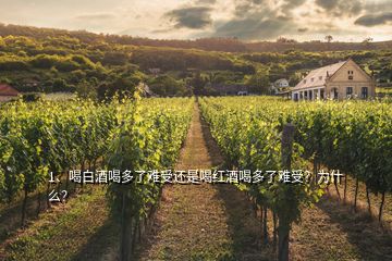 1、喝白酒喝多了難受還是喝紅酒喝多了難受？為什么？