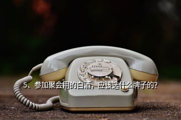 5、參加聚會(huì)用的白酒，應(yīng)該選什么牌子的？