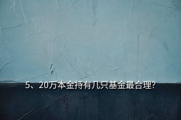 5、20萬本金持有幾只基金最合理？