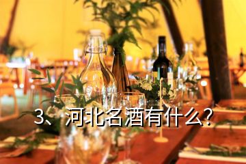 3、河北名酒有什么？