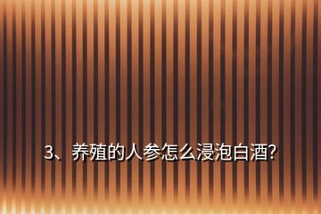 3、養(yǎng)殖的人參怎么浸泡白酒？