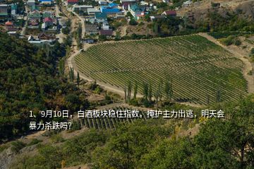 1、9月10日，白酒板塊穩(wěn)住指數(shù)，掩護(hù)主力出逃，明天會暴力殺跌嗎？