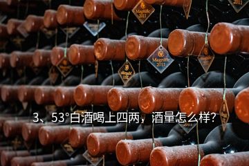 3、53°白酒喝上四兩，酒量怎么樣？