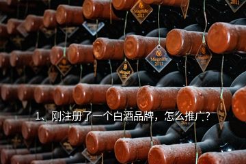 1、剛注冊了一個白酒品牌，怎么推廣？