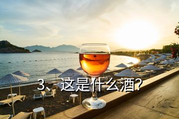 3、這是什么酒？