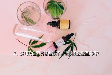 2、這幾天白酒類基金跌了，近期還會漲回來嗎？