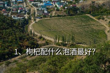 1、枸杞配什么泡酒最好？