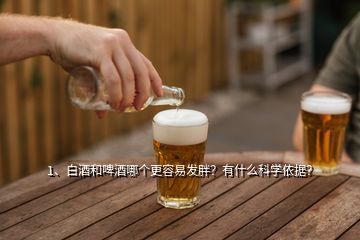 1、白酒和啤酒哪個(gè)更容易發(fā)胖？有什么科學(xué)依據(jù)？