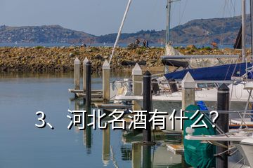 3、河北名酒有什么？