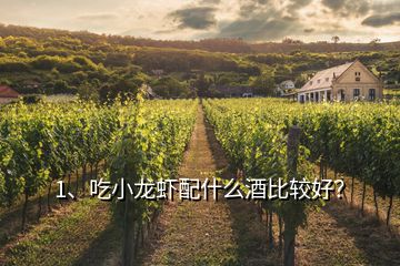 1、吃小龍蝦配什么酒比較好？