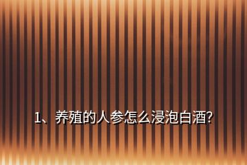 1、養(yǎng)殖的人參怎么浸泡白酒？