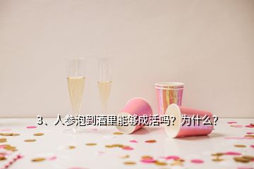 3、人參泡到酒里能夠成活嗎？為什么？