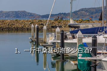 1、一斤干桑葚可泡多少白酒？