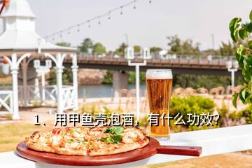 1、用甲魚殼泡酒，有什么功效？