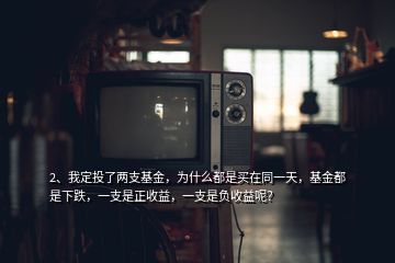 2、我定投了兩支基金，為什么都是買在同一天，基金都是下跌，一支是正收益，一支是負(fù)收益呢？