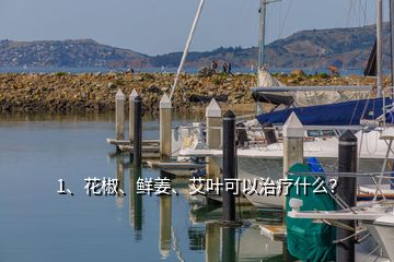 1、花椒、鮮姜、艾葉可以治療什么？