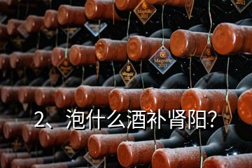 2、泡什么酒補腎陽？