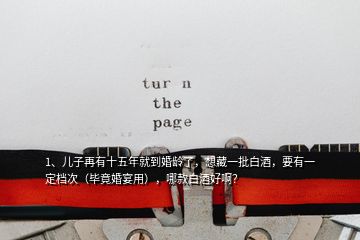 1、兒子再有十五年就到婚齡了，想藏一批白酒，要有一定檔次（畢竟婚宴用），哪款白酒好啊？