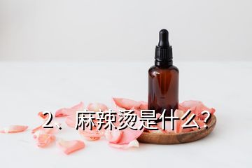 2、麻辣燙是什么？