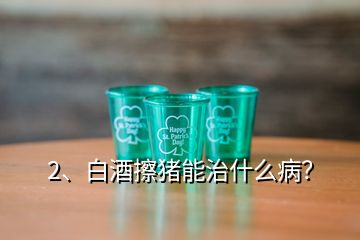 2、白酒擦豬能治什么?。?></p><p>白酒是生活中的交際品，更是廚房中的調(diào)料，在豬場中也有很多的妙用，少量的白酒能夠活血、散寒等作用；今天就給大家說下白酒在豬場中的妙用；1、母豬不給小豬吃奶咬小豬，這個時候耳朵灌服20ml，或者口服100ml-250ml高度酒看看，一般就能很快安靜了；2、豬群合圈，出現(xiàn)打架的時候，可以噴白酒，有時候也用花露水，只要味道一樣了一般就不咬架了，并圈注意晚上做，因為豬本身眼神就不好；3、母豬不發(fā)情、沒有奶水的情況下，炒紅糖搭配白酒口服效果好；4、母豬乳房炎，單純的藥物治療效果可能不是特別及時，咱們的小豬還得著吃奶，可以注射藥物的同時，熱毛巾敷乳房，如果上面加上高度白酒或者有醋效果會更好；5、臍疝、脫肛等，出現(xiàn)的時候首先歸位，然后分點皮下注射酒精；每個地方2ml，可以刺激豬形成組織，長起來就能堵住出來的腸道；7、豬腦袋歪1側(cè)，如果藥物不好的時候，可以用白酒注射另一側(cè)的脖子，有時候就能治好；8、小豬拉稀，適量后海穴注射能夠起到治療作用；9、豬如果中暑了，或者高燒的時候，可以用白酒擦下；10、長途運輸，為了防止應(yīng)激也可以口服些白酒，這樣豬就毛病少了；白酒因為有殺菌的作用，所以是能夠控制不少的疾??；但是酒糟使用的時候要注意用量；白酒的10個妙用，減少豬場問題，不花錢解決大家的豬??！。</p>
</div>
</div>
<div   id=