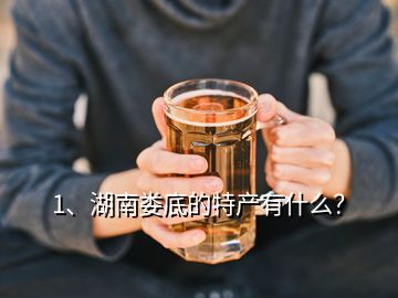 1、湖南婁底的特產(chǎn)有什么？