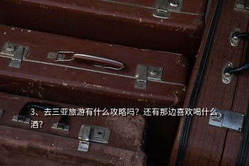 3、去三亞旅游有什么攻略嗎？還有那邊喜歡喝什么酒？