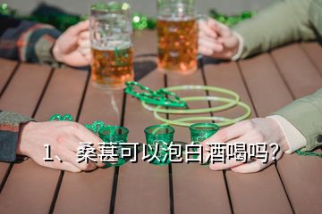 1、桑葚可以泡白酒喝嗎？