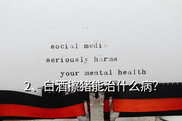 2、白酒擦豬能治什么病？