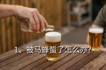 1、被馬蜂蜇了怎么辦？