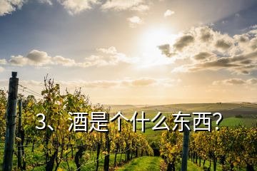 3、酒是個什么東西？